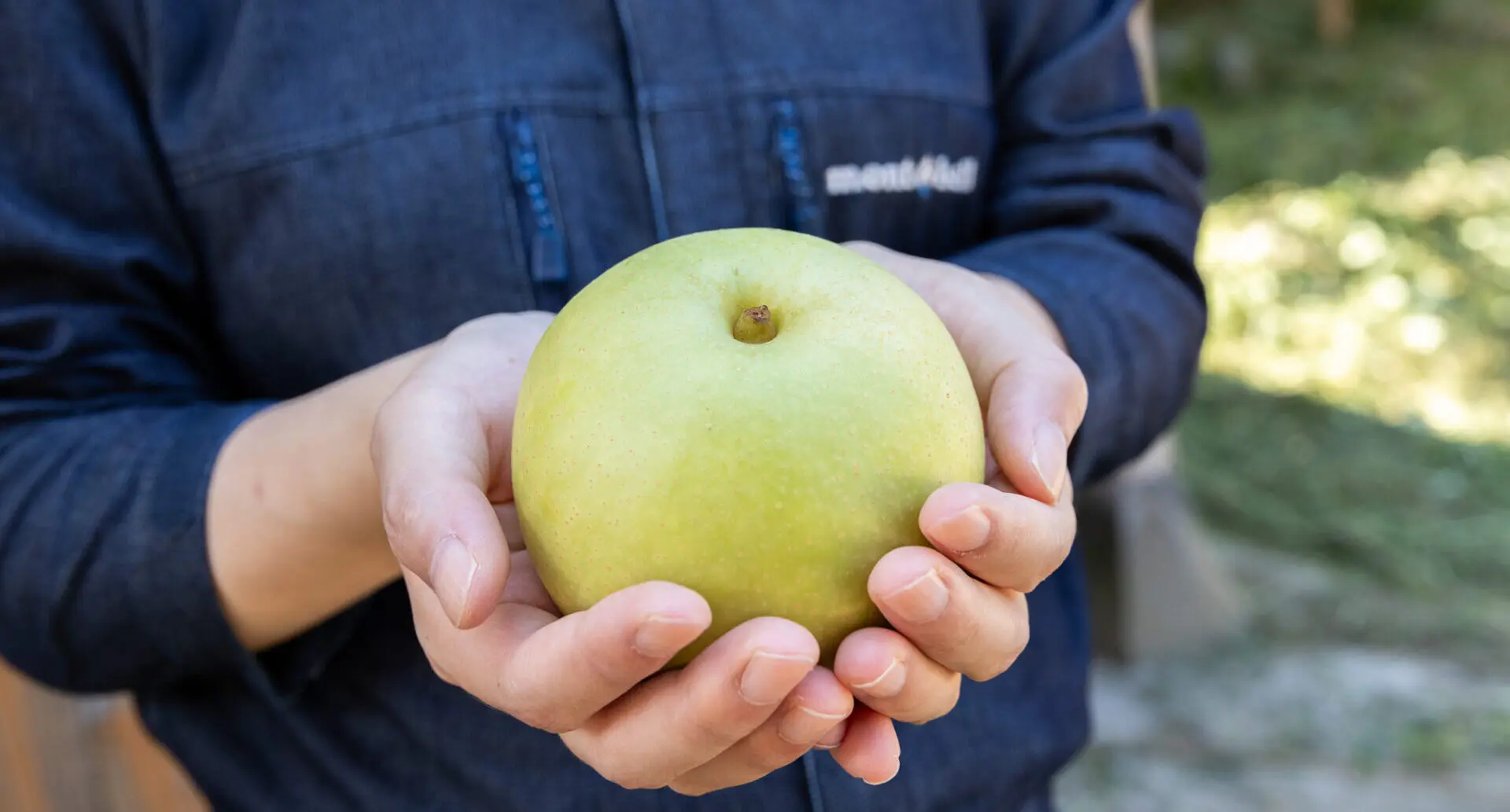 予約注文の受付開始】梨シーズンが来るぞ! | 梨屋 こうさてん十 予約注文の受付開始】梨シーズンが来るぞ! | 梨屋 こうさてん十