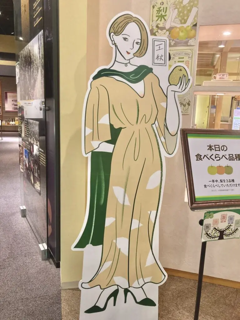 ラスト　ずっしり大玉　あまぁい王秋梨　10キロ 王秋梨の商品一覧 | さんチョク