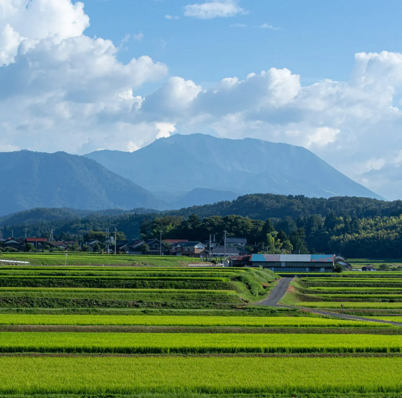 鳥取県名峰「大山」のふもとで育つ至高の梨 | こうさてん十