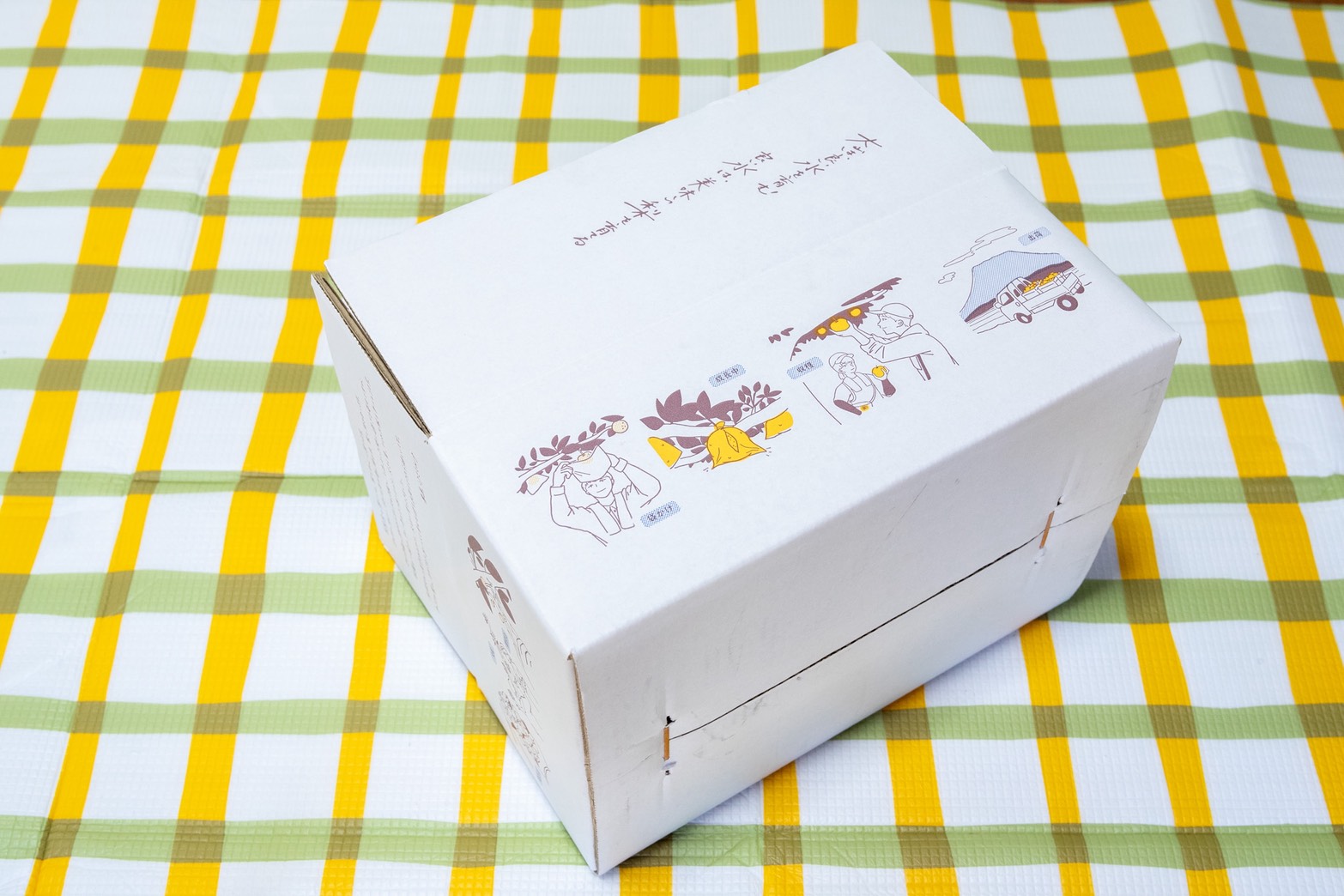【8月下旬〜9月上旬】オリジナルダンボールでお届けする「新甘泉」贈答用 2.5kg